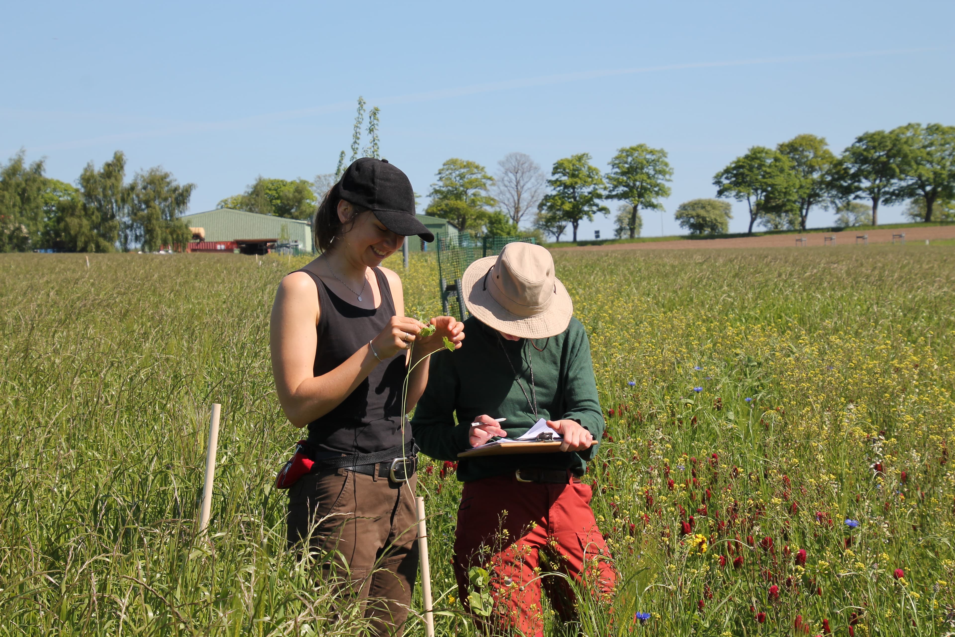 Vegetationsaufnahme agroforst-monitoring